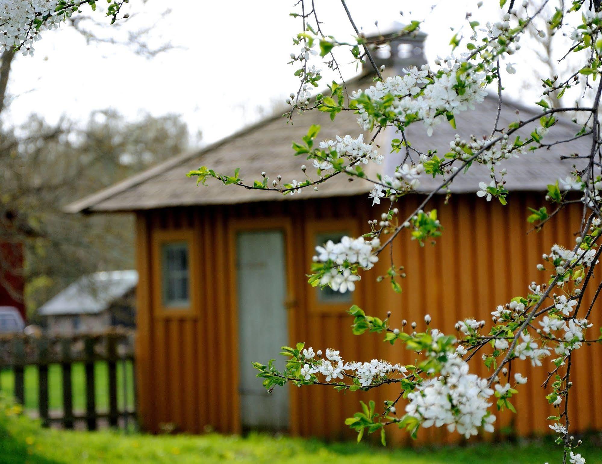 Nästegården Bed&Breakfast Sätuna Exteriör bild